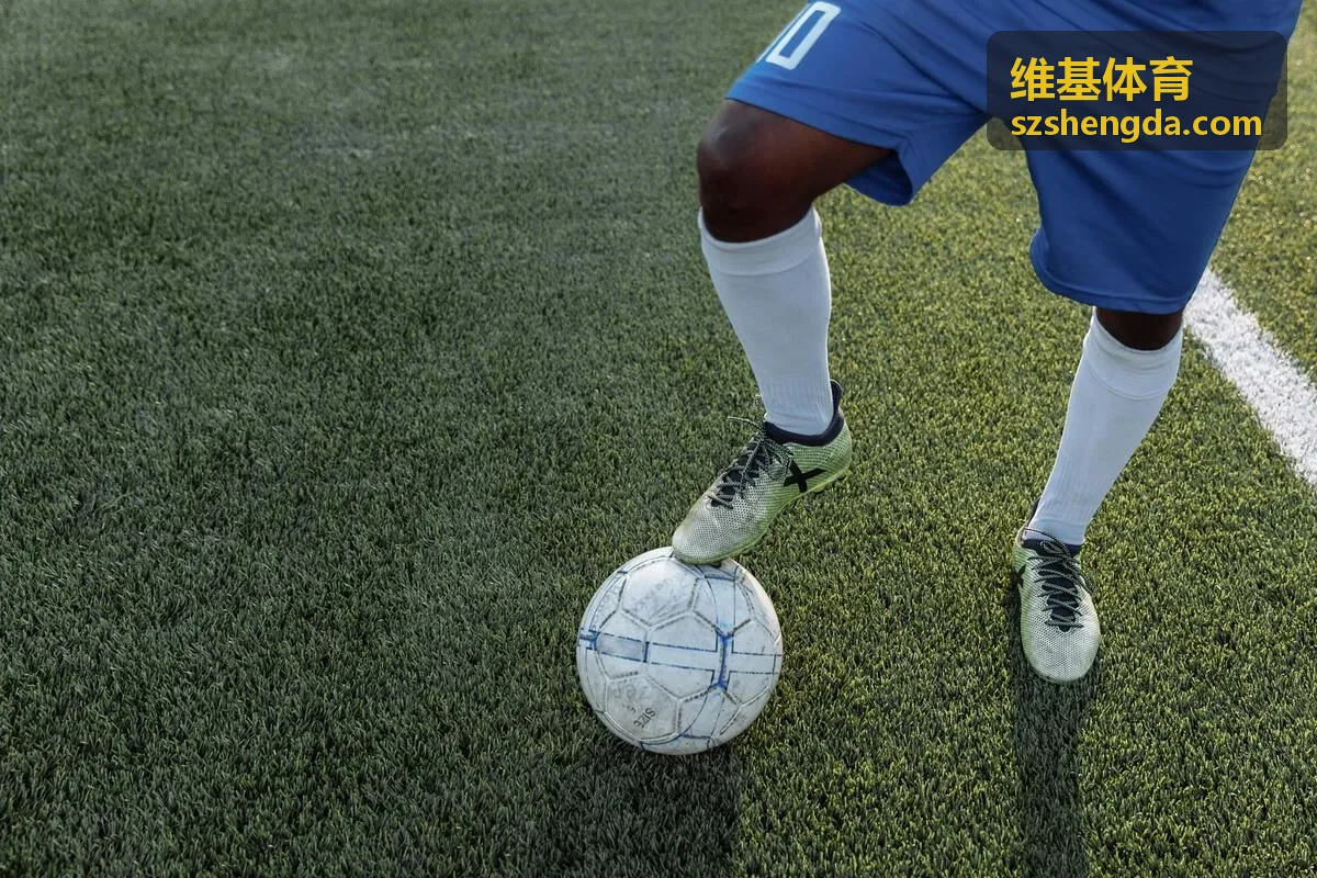 维基体育用户运营平台